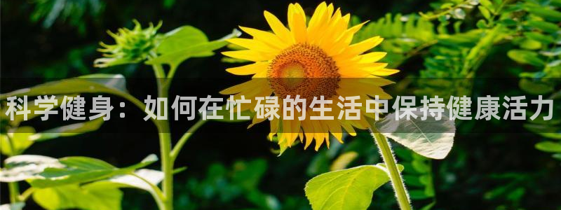 MK体育官网下载招商电话:科学健身:如何在忙碌的生活中保持健