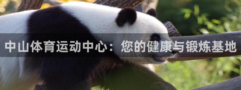 MK体育官方正版app代理:中山体育运动中心:您的健康与锻炼